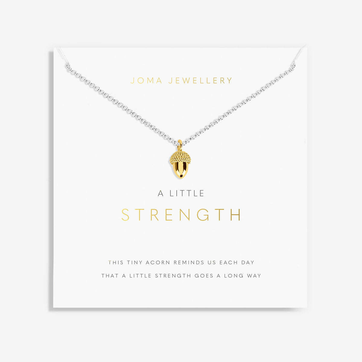 Joma Jewellery a little 'Strength' Silver and Gold Plated Necklace