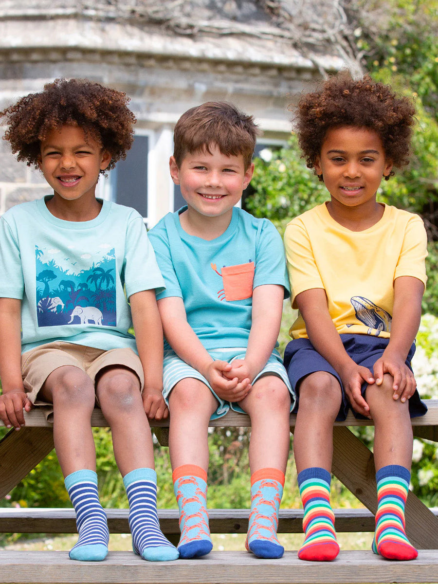 Little Nipper Socks – The Bottom Drawer Store