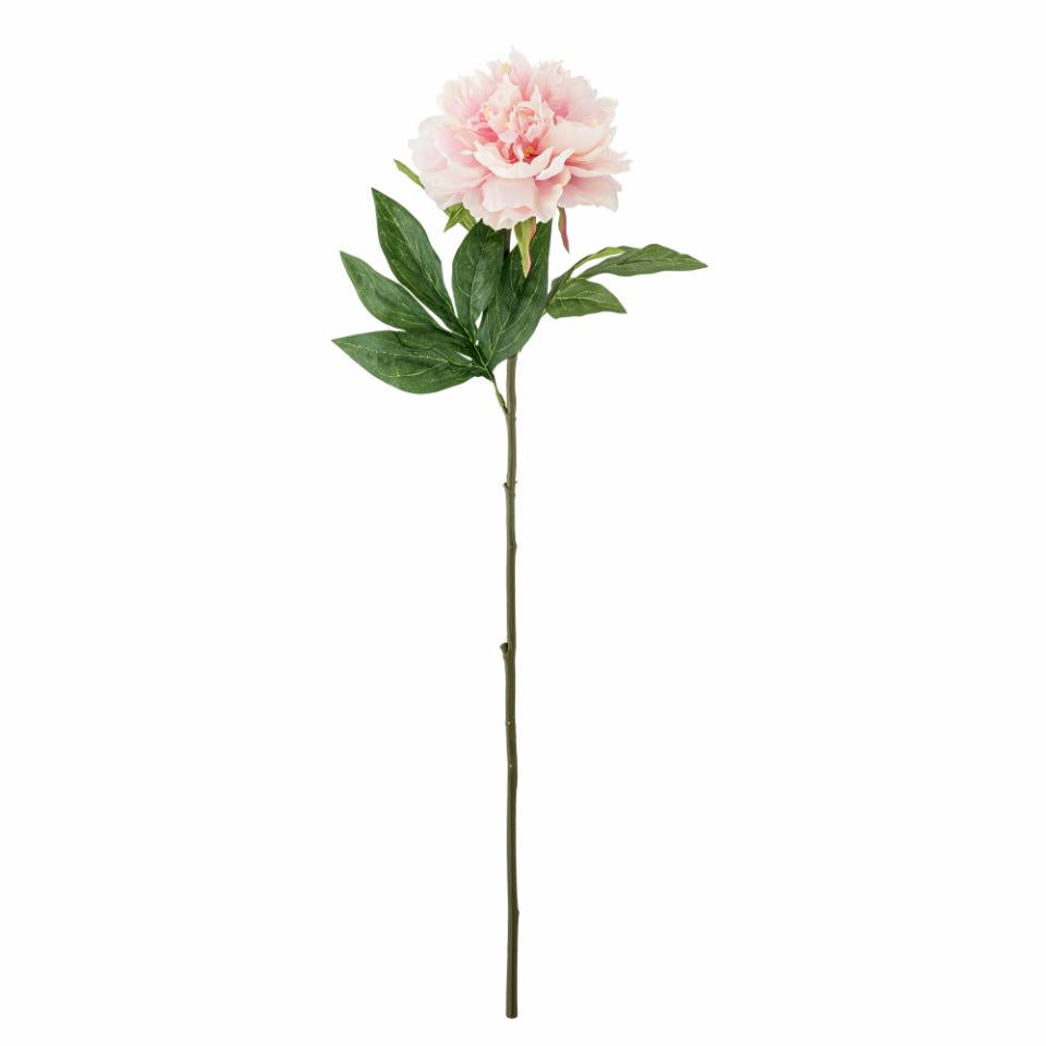 Peony Stem Rose – The Bottom Drawer Store